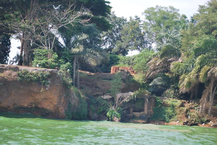 1-Day Best of Entebbe City Guided Walking Tour - Six things worth knowing before you go
