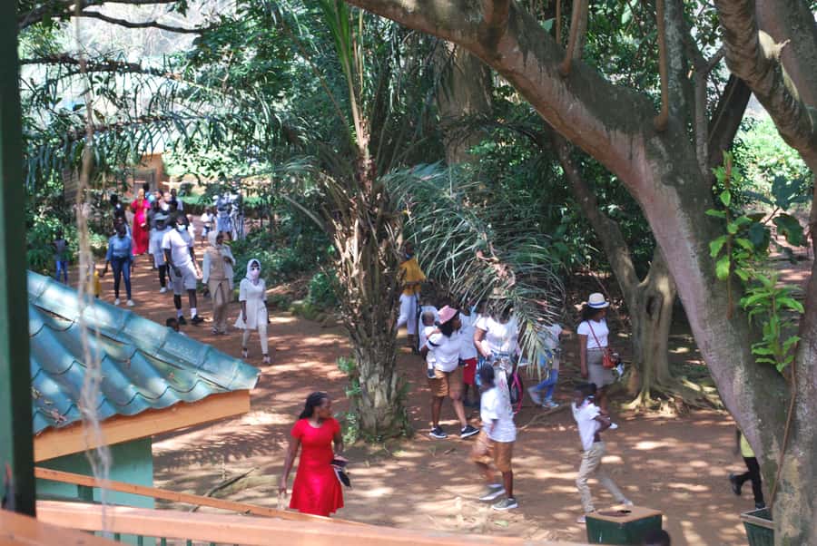 1-Day Best of Entebbe City Guided Walking Tour - Nambi’s lakeside fish market