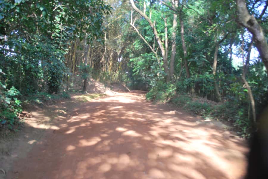 1-Day Best of Entebbe City Guided Walking Tour - Is $58 a fair price?