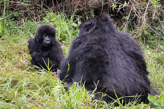 1 Day Gorilla Trekking Mgahinga Gorilla NP & Lake Bunyonyi - Leaving Lake Bunyonyi before sunrise