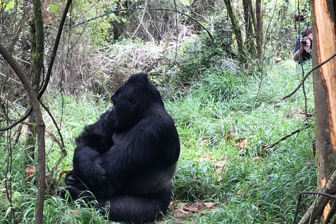 1 Day Gorilla Trekking Mgahinga Gorilla NP & Lake Bunyonyi - Returning to Lake Bunyonyi after the trek