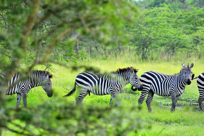 1 Day Lake Mburo Tour from Kampala - The Equator stop on the Kampala to Mburo road