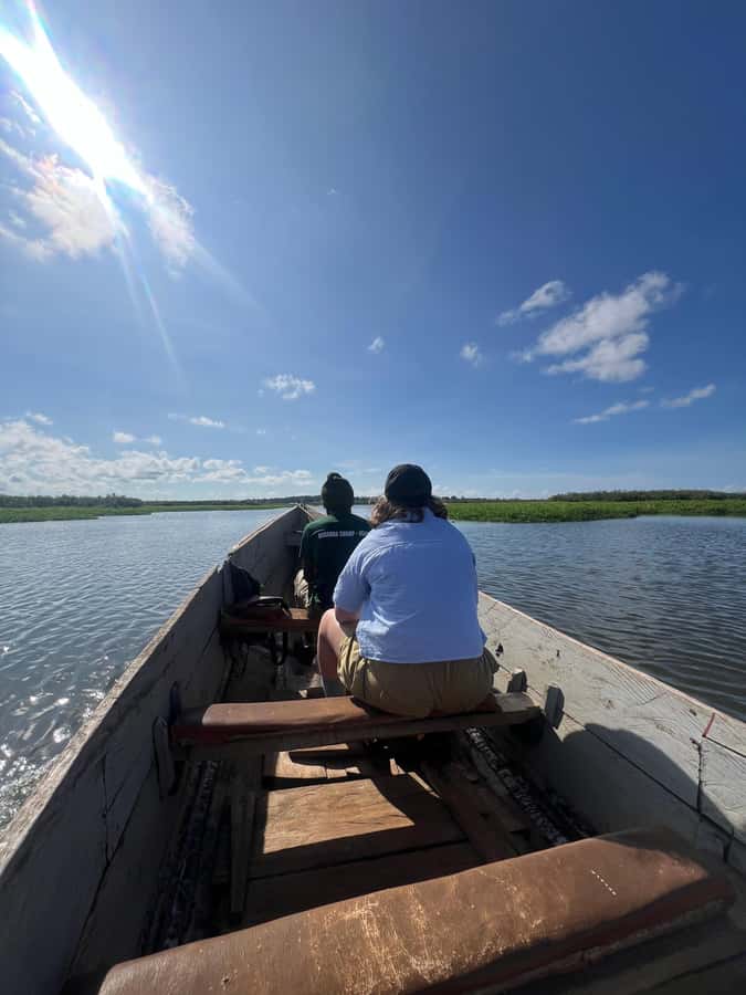 1-Day Mabamba Shoebill Birding Tour in Lake Victoria Entebbe - Finding the famous shoebill