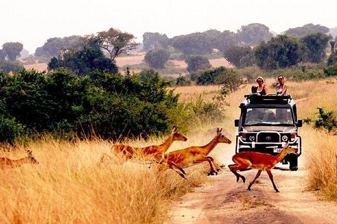 10-Day African Safari in Uganda from Kampala - The long road to Kibale Forest