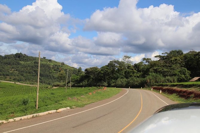 10 Day Western Uganda Budget Wildlife Safari - Day 7: The major event, gorilla trekking in Bwindi