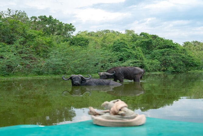 10 Days Affordable Gorilla Trekking Holiday - Why this Uganda itinerary works