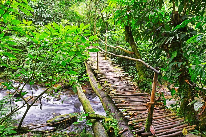 10 Days Affordable Gorilla Trekking Holiday - Day 4: Rwenzori views and the road to Queen Elizabeth