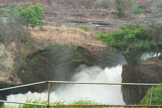 10 Days Uganda Gorilla & Chimpanzee Trekking Safari - Chimpanzee trekking and Bigodi Wetland