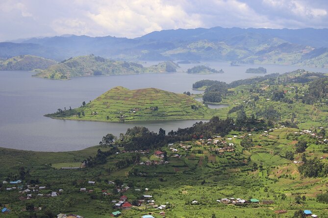 10-Days Uganda Gorillas and Chimpanzee Wildlife Discovery - Day 4 through tea country to Kibale Forest
