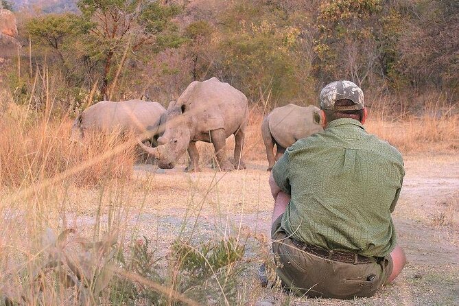 11-Day African Big 5 with Gorilla Trekking Safari in Uganda. - Why this Uganda route works