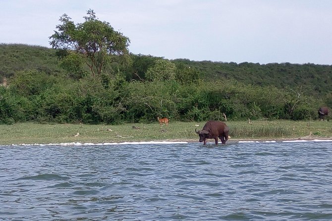 11 Days Uganda +Gorillas - Why this Uganda route works