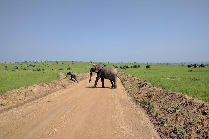 11 Days Uganda +Gorillas - Lake Bunyonyi and a welcome change of pace