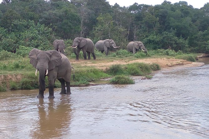 11 Days Uganda +Gorillas - What the $4,500 price includes