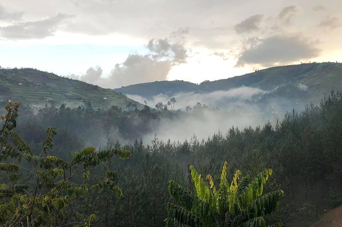 12 Day Affordable Safari-Gorilla and Primate Track Uganda - Day 1: from Entebbe to Bwindi by way of Kayabwe