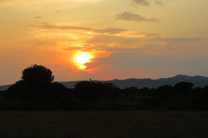 12-Day Moderately Priced Pearl of Africa - Uganda Private Safari - Day 7: Lions at sunrise and the Kazinga Channel