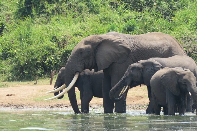 12-Day Moderately Priced Pearl of Africa - Uganda Private Safari - Day 10: Lake Bunyonyi gives you room to breathe