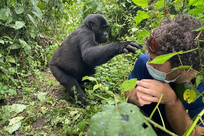 12-Day Moderately Priced Pearl of Africa - Uganda Private Safari - Days 3 and 4: Murchison’s wildlife and Uganda’s long road south