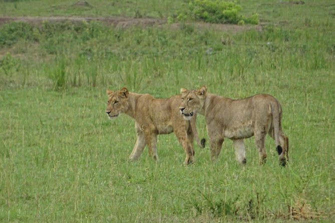 12 Days Memorable Experience tour in Uganda - Moroto and the Karamoja community visit