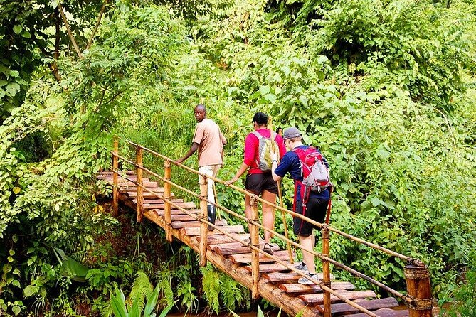 14 Days Uganda Rwanda Primate Tour - Why This 14-Day Route Works