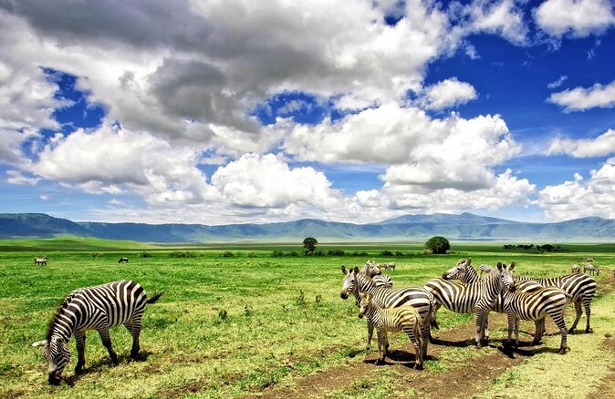 16-Day Photo Tour to Uganda and Tanzania - Key Points At A Glance