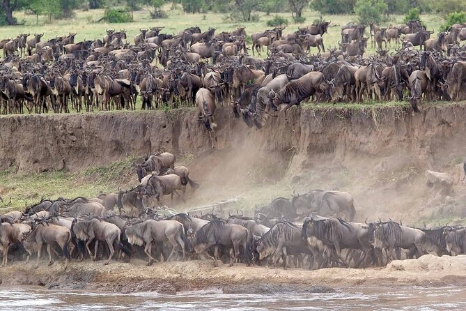 16-Day Photo Tour to Uganda and Tanzania - Why This Tour Works For Serious Photographers