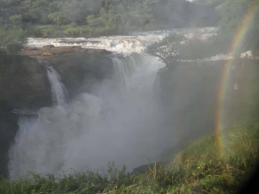 2 Days Big five Safari with Boat in Murchison Falls - Afternoon wildlife on the northern savannah