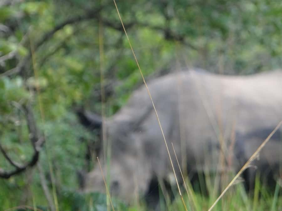 2 Days Big five Safari with Boat in Murchison Falls - Campfire time after a full day