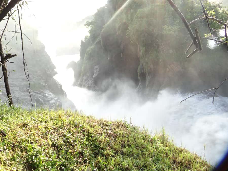 2 Days Big five Safari with Boat in Murchison Falls - Sunrise game drive on day two