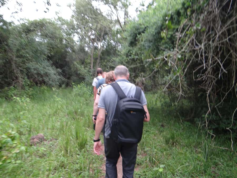 2 Days Big five Safari with Boat in Murchison Falls - Nile boat safari toward the falls
