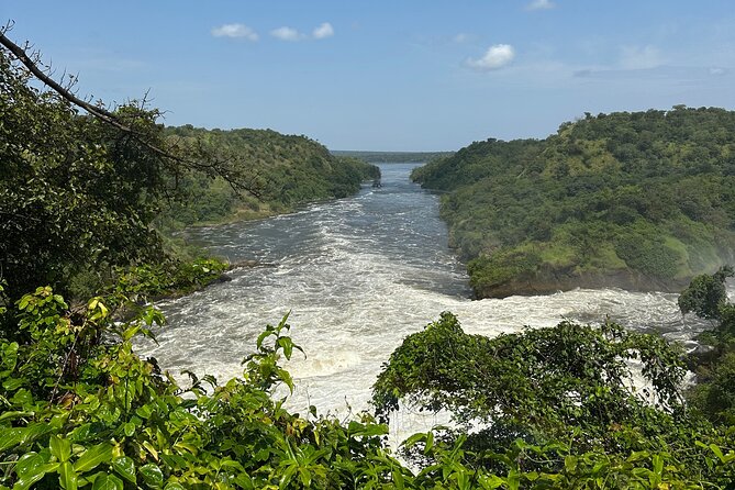 2 Days Budget Safari to Murchison Falls National Park - What $750 per person really buys