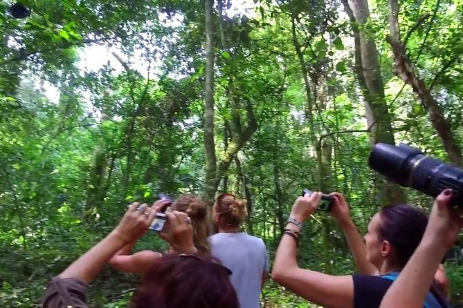 2 Days Chimpazee Safari In kibale Forest Park Uganda. - Who will enjoy this trip most