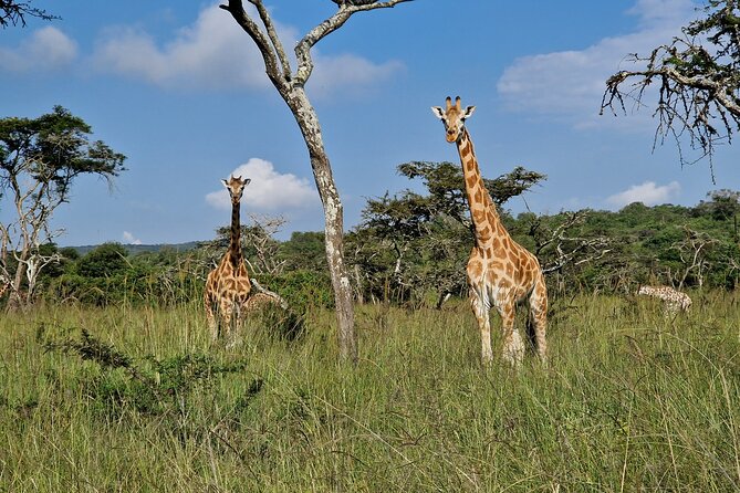 2 Days Cycling Safari To Lake Mburo National Park - Why Lake Mburo works so well for a cycling safari