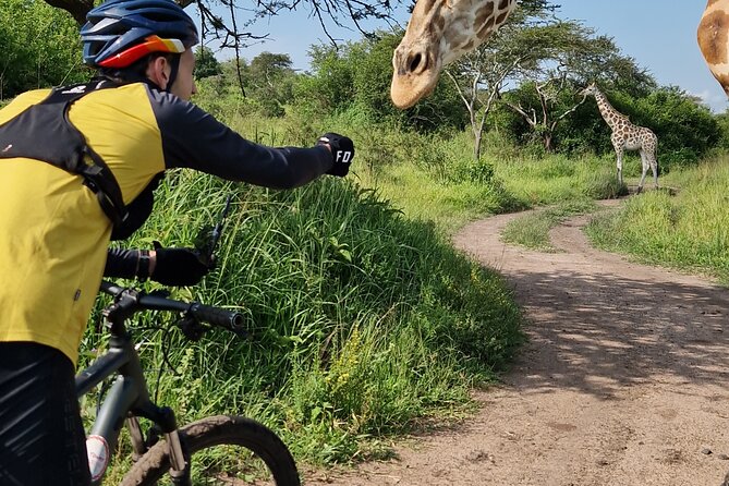 2 Days Cycling Safari To Lake Mburo National Park - Practical advice before you book