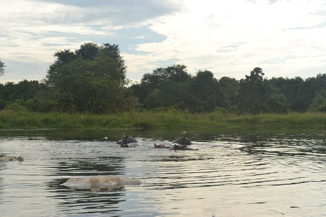 2 Days Family Safari to Murchison Falls Park Uganda - Murchison Falls is best seen from two angles