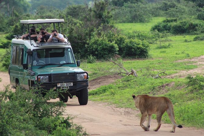 2 Days Murchison Falls Park Vacation - From Kampala to Ziwa Rhino Sanctuary