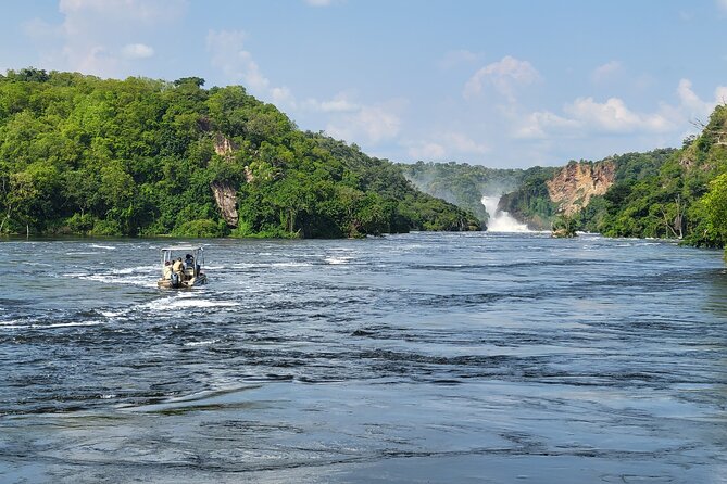 2 Days Murchison Falls Park Vacation - What the positive feedback tells you