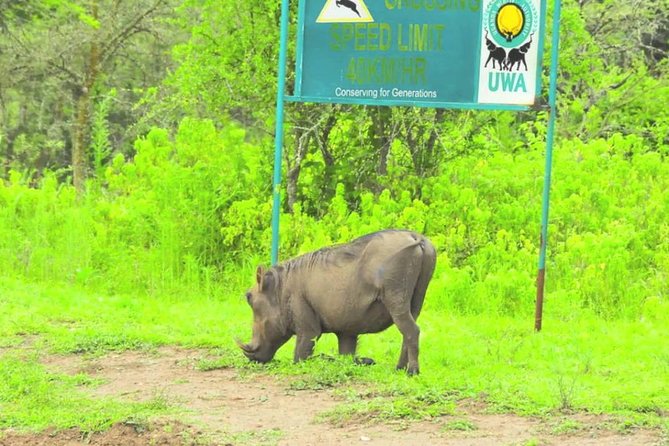 2 Days Popular Safari to Lake Mburo National Park - Is $1,250 a good price for two days?