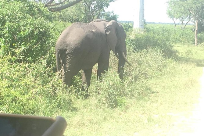 2 Days Safari To Queen Elizabeth National Park with Cruise - The Kazinga Channel cruise and its close wildlife views
