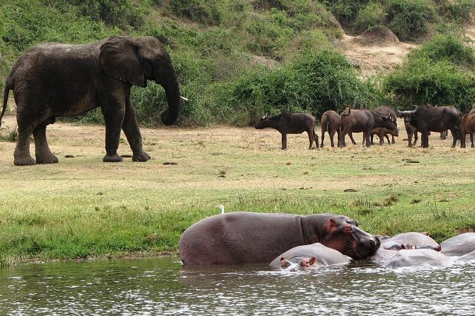2 Days Safari To Queen Elizabeth National Park with Cruise - Leaving Kampala at 6:30 a.m. for western Uganda