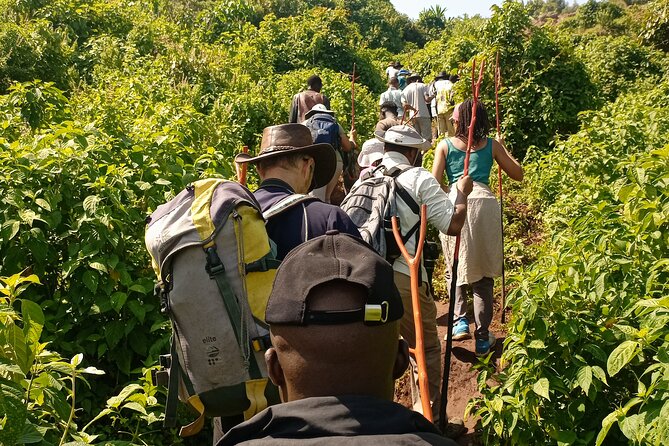 2 Days Sipi Falls Hike and Coffee Tour - Is $490 per person fair value?