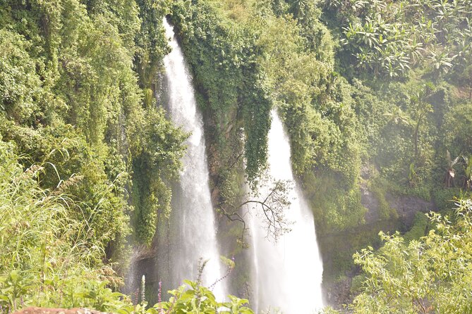 2 Days Sipi Falls Hike and Coffee Tour - Day one coffee visit: seeing how Uganda’s coffee reaches your cup