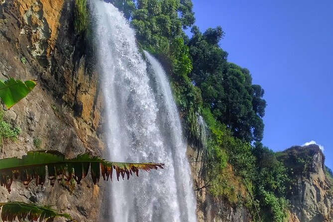 2 Sipi Falls hike and Coffee Tour Experience - Day 2: coffee, farming, and a fresh cup