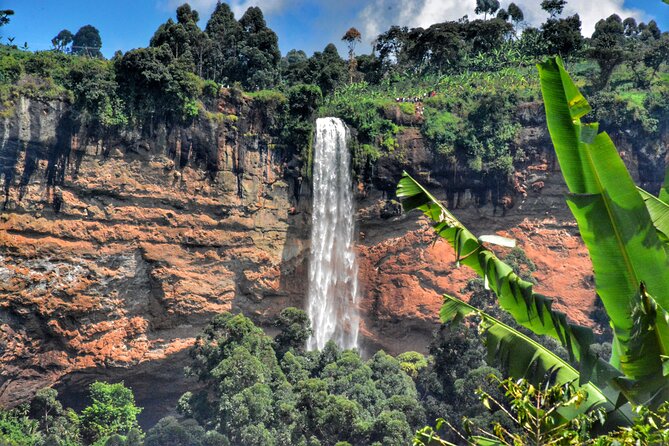 2 Sipi Falls hike and Coffee Tour Experience - Price and what $40 really buys you