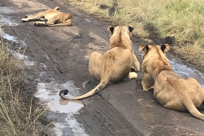 25 day uganda Rwanda kenya and Tanzania safari Zanzibar inclusive - Days 7 to 10: Lake Bunyonyi and two gorilla regions