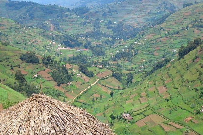 2days Bwindi NP gorilla trekking - What the $990 price really covers