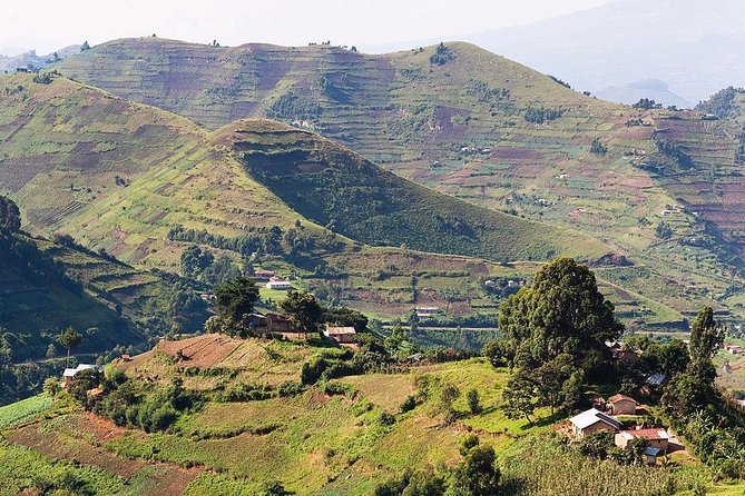2days Bwindi NP gorilla trekking - The strongest part: transport and personal service