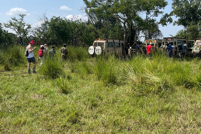 2Days Murchison Falls NP Safari - Arriving at Murchison Falls for lunch and the Nile