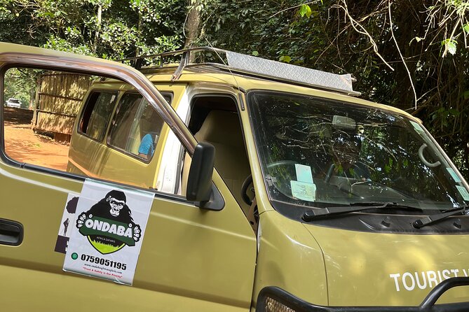 2Days Murchison Falls NP Safari - Evening check-in, dinner, and the optional campfire