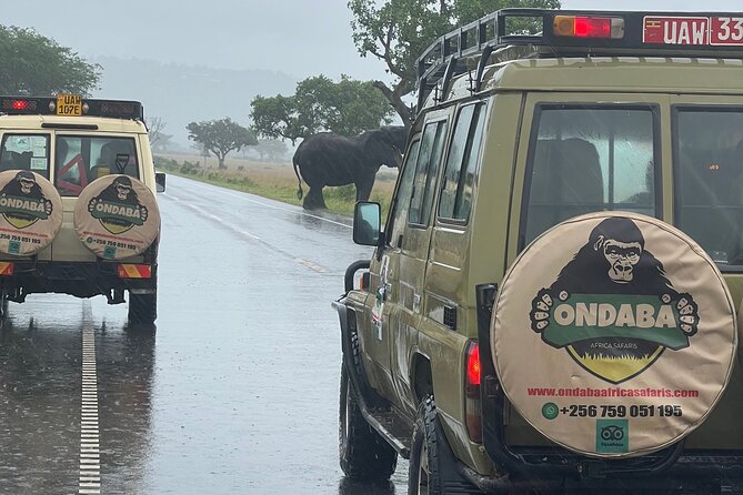 2Days Murchison Falls NP Safari - The return to Kampala and what the timing means