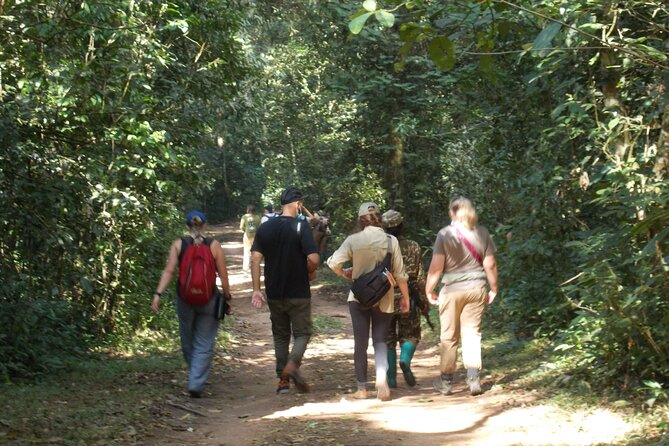 3 Day Bwindi gorilla flying in safari - Why this three-day Bwindi safari is appealing